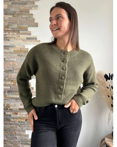 Pull Noé
